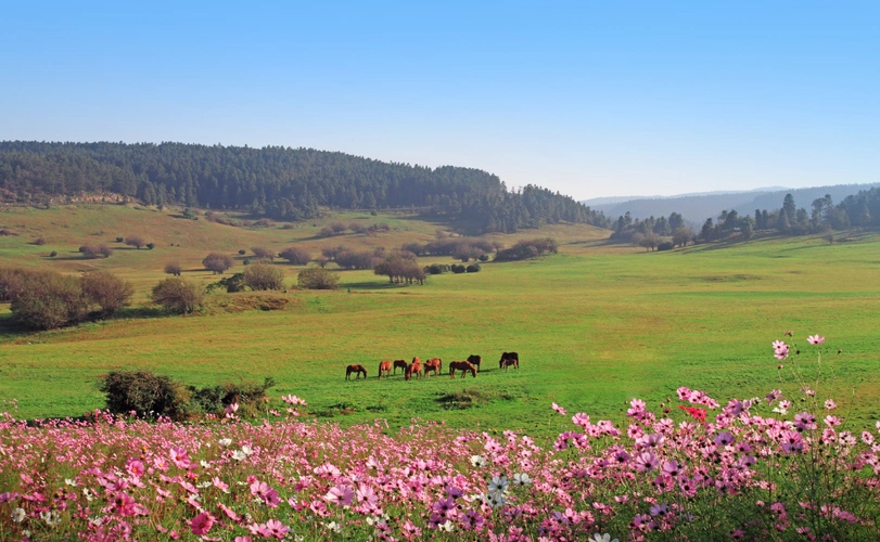 上海至重庆武隆仙女山机场3月28日开通航线