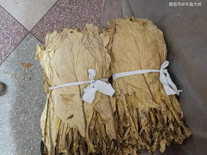 穷人口粮烟的制作方法手卷烟丝的详细操作流程