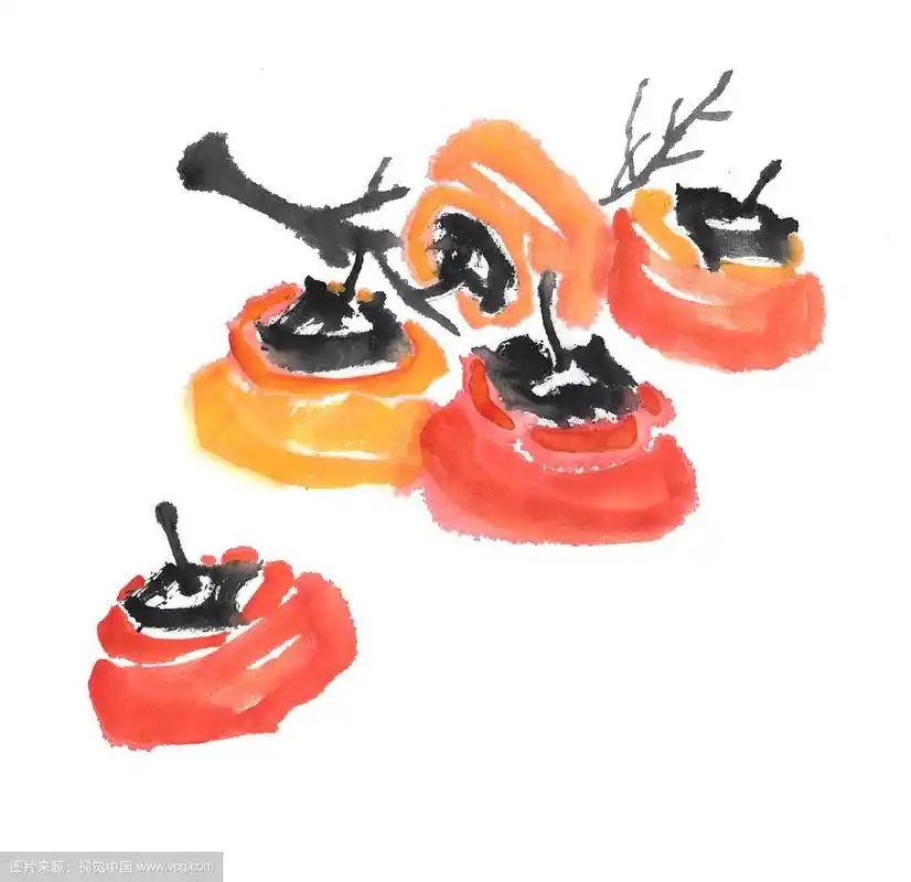 中国画水墨插画-柿子