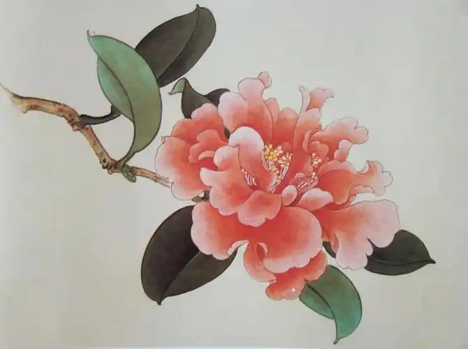 留住那最美的"昙花一现" | 零基础国画花卉体验 【央美专业老师指导】