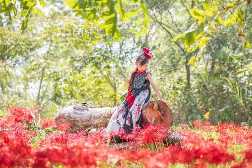 うさだだぬき(@usalica)10月摄影作品:彼岸花少女