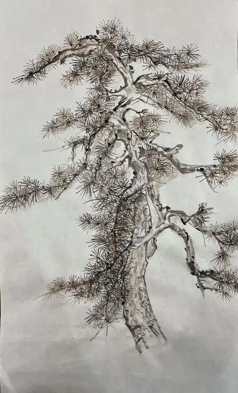 国画艺术 !松树!#修心修德 #随缘而修 #闲人雅居 - 抖音