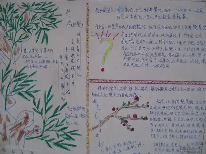 漕麦二班竹文化手抄报