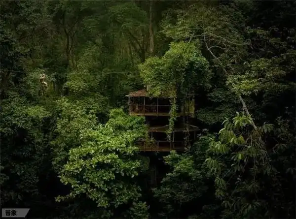 牛人在深山老林里盖的房子 让人看后叹为观止