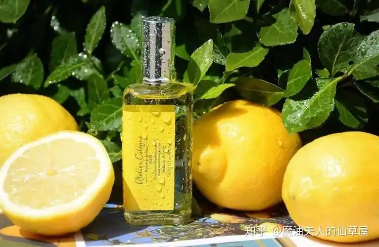 果实精油佛手柑冬日下的暖阳