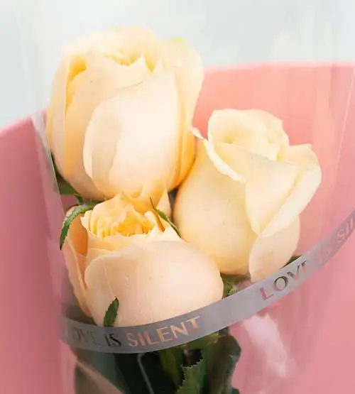 3枝香槟玫瑰团购:3枝香槟玫瑰_鲜花-花礼网(鲜花礼品网)