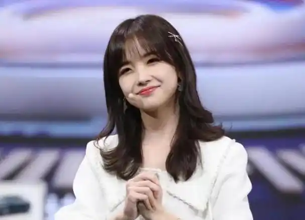 央视主持王冰冰坐高铁被遇,独自推行李接地气,一身