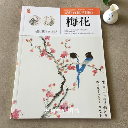 无师自通学国画:梅花国画基础入门教程从入门到精通白描画谱