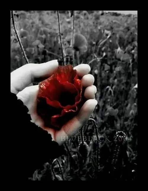 前几天暴雨,今天晴空万里,阳光正好,今天趁机晒晒职场友谊!