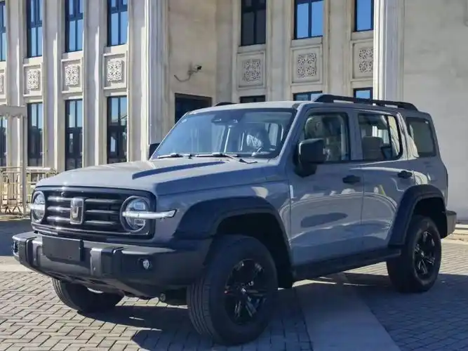 【唐山二手车】2021年11月_二手坦克 坦克300 2021款 越野版 2.