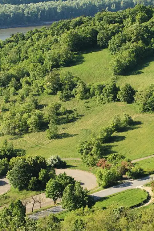 草地图片_草地图片大全_全景图片