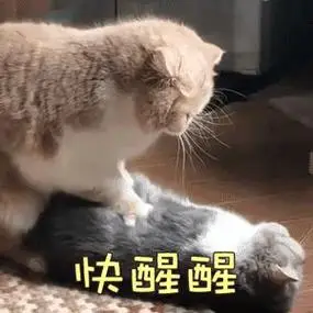 支付宝手机曝光!三折叠屏,ai防诈骗,摄像头藏屏下,被偷还能自动归还