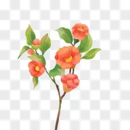 手绘红色山茶花花枝元素