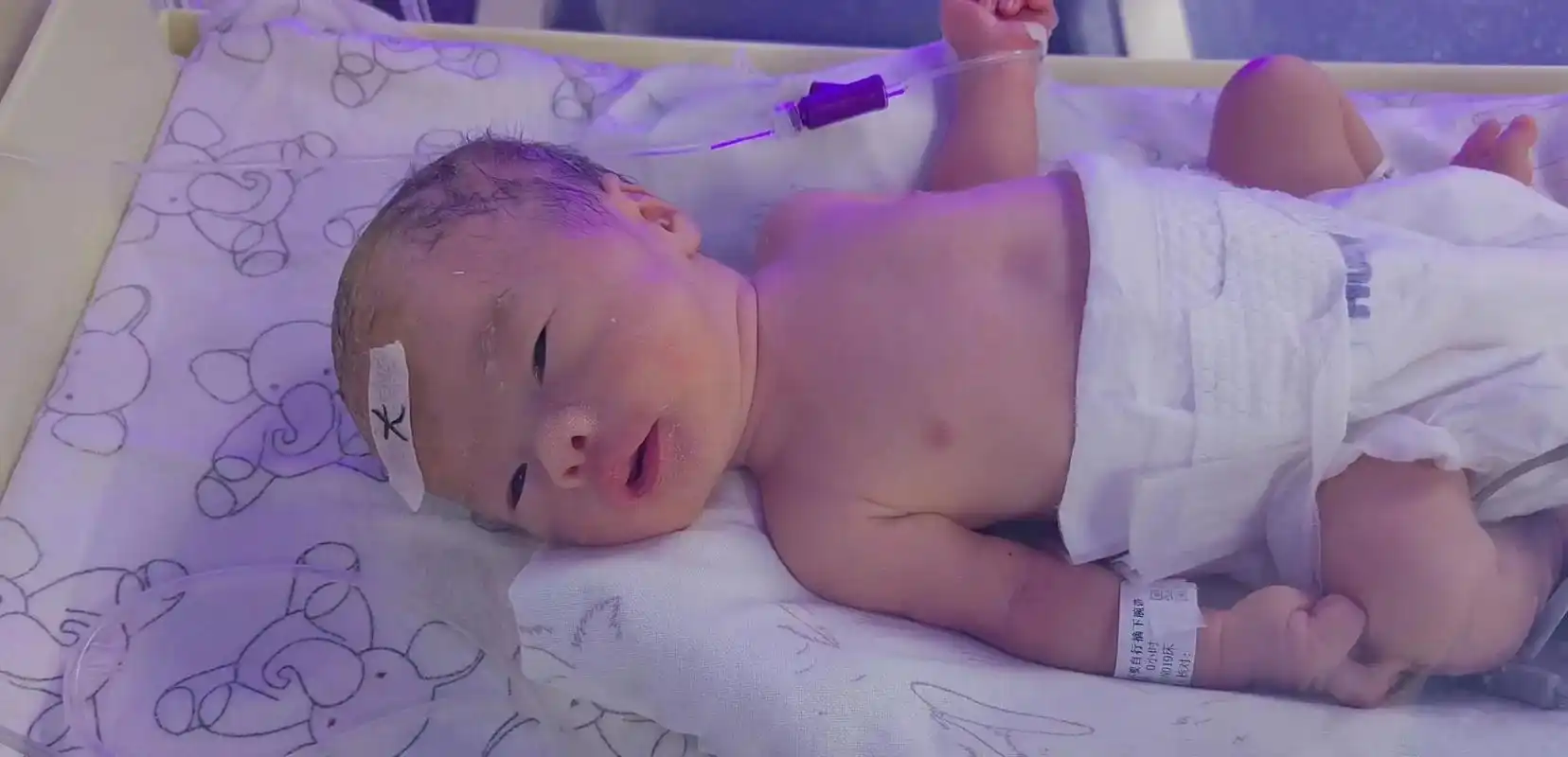 辛苦老婆了.#最萌新生儿  #刚刚出生的小宝宝 #双胞胎兄弟 - 抖音