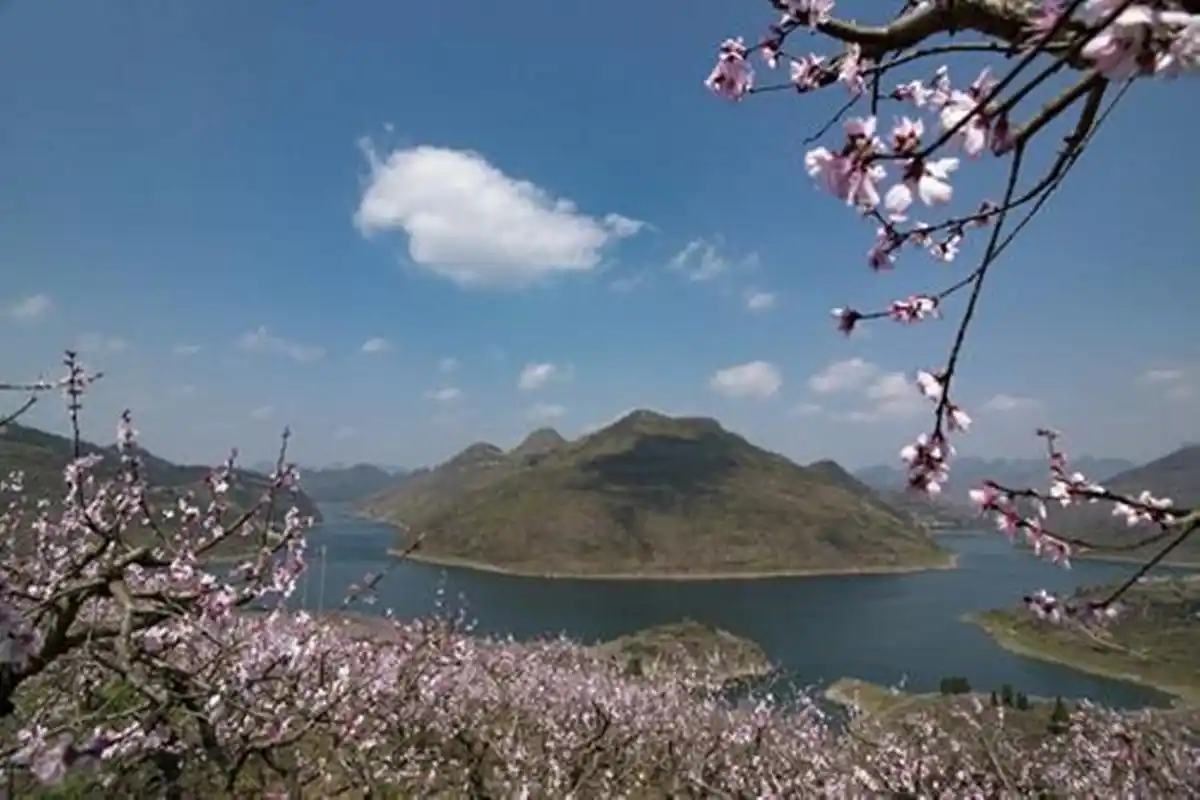 桃花岛旅游攻略自驾(桃花岛旅游攻略自驾舟山)