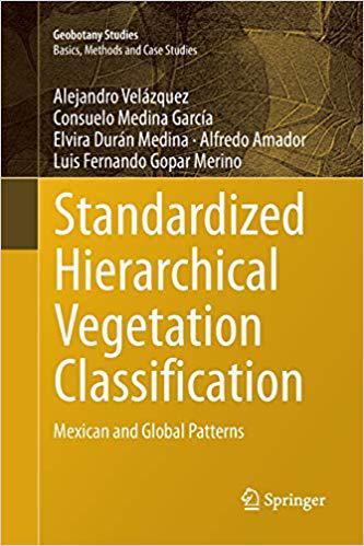 【预订】standardized hierarchical vegetation