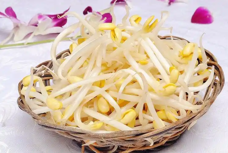 乡味:豆芽菜情结