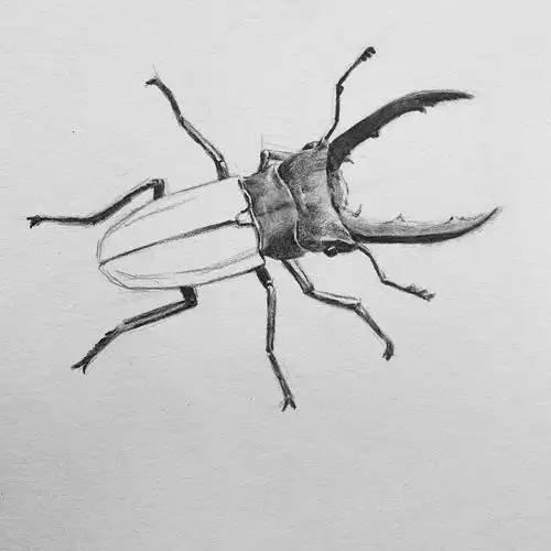 如何学好素描绘画,初学者绘画基础绘画教程