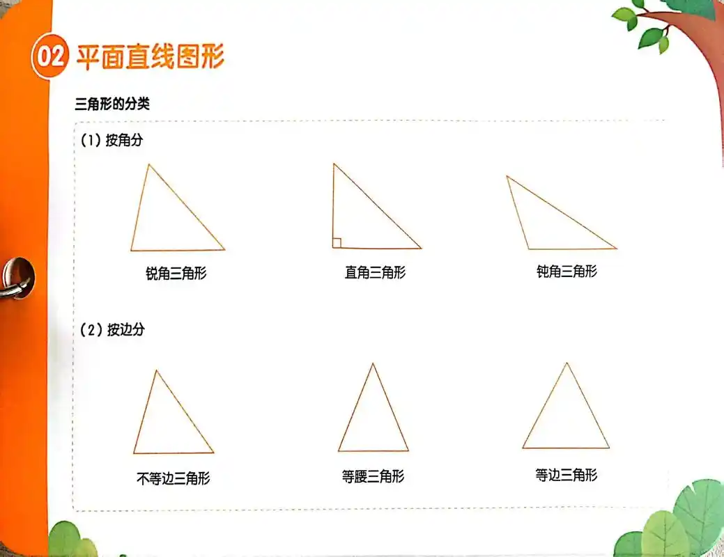 关注我持续更新小学知识 #几何图形讲解 #家长收藏孩子受益 - 抖音