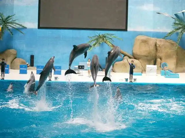 福州欧乐堡海洋世界