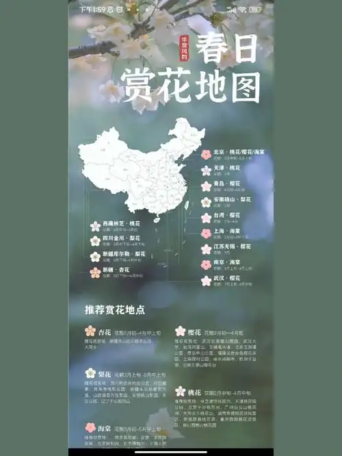 春日赏花地图