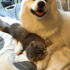 2015最新最有内涵的邪恶动态美女gif图片:妹子很热吗?