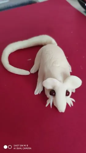 其它 面塑你会吗?跟我来! 写美篇       老师做的小老鼠好玩吗?