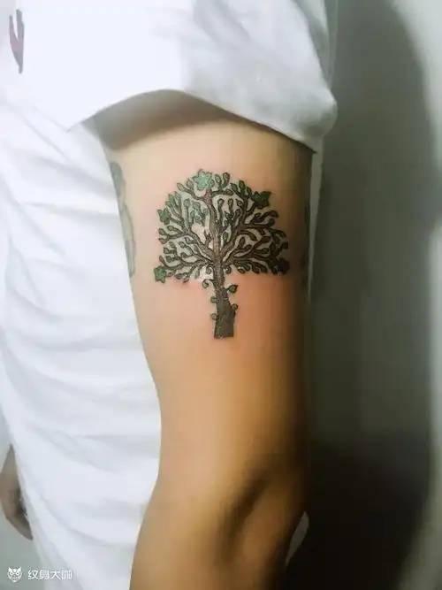 菩提树_纹身图案手稿图片_李慧的纹身作品集