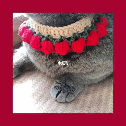 手工编织猫咪宠物项圈  第一次钩织也太成功了吧 嘻嘻