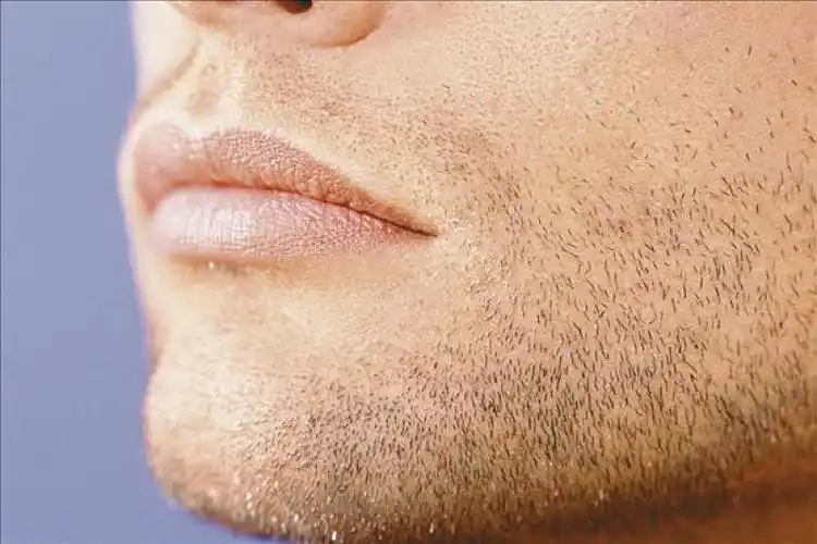 胡茬图片_胡茬高清图片_全景视觉