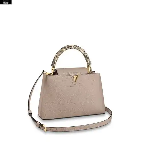 【包邮包税】 lv路易威登 21年秋冬 女士 单肩包 sac capucines pm n9