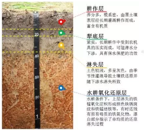 "泥巴"住进博物馆,需要几步?