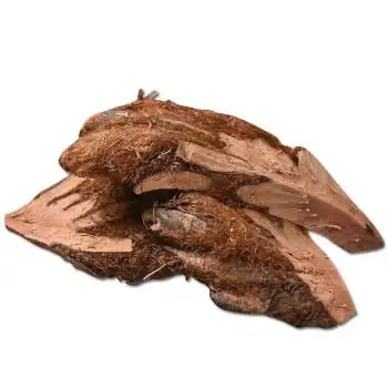 贯众中药材500克新鲜贯节 贯渠 百头锦马贯众 管仲中草药