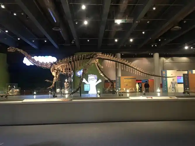 香港香港科学馆好玩吗,香港香港科学馆景点怎么样_点评_评价【携程攻