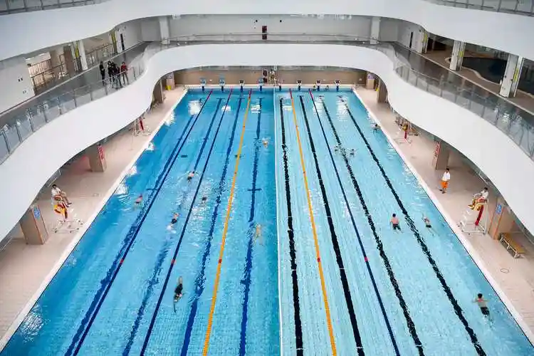 泳迷畅游新池,上海游泳馆"老馆"换新颜