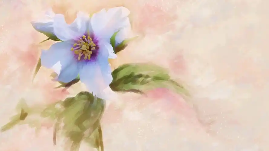 手绘花卉水彩画高清宽屏壁纸