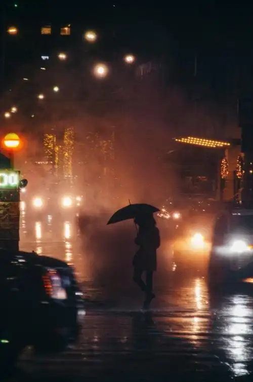 雨天拍摄的100个创意|滤镜|雨景|雨滴|反光_网易订阅