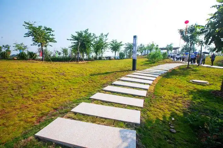 景色宜人的罗定江滨公园