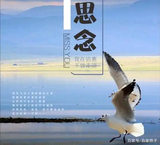 又是一个思念的季节,远方的你还好吗?