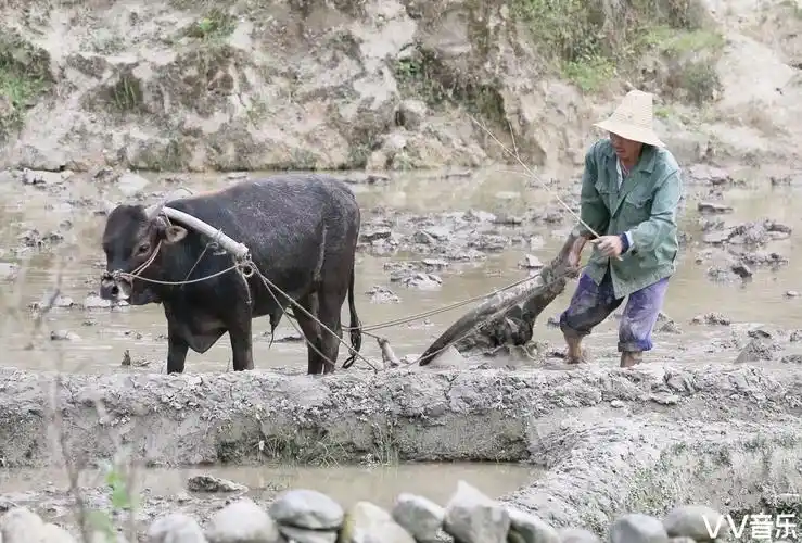 《牛耕图》