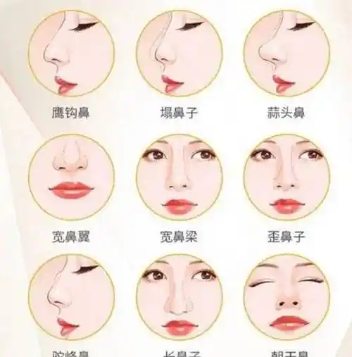 原创心理学家你的鼻型或决定你的性格特质这种鼻型的人普遍自私