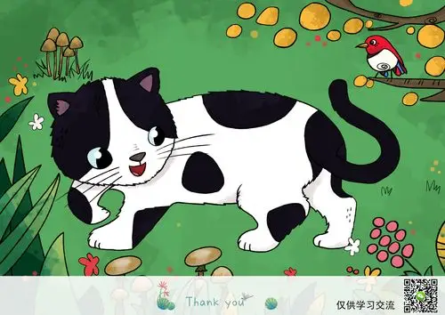 小花猫