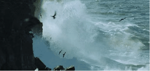 509_242gif 动态图 动图