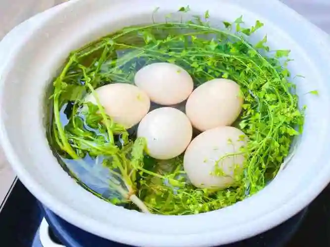 孕妇能不能吃地菜煮鸡蛋