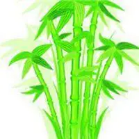 竹子叶子头像图片_微信头像图片大全