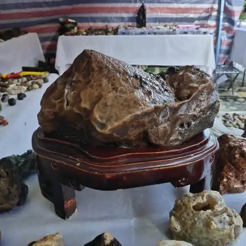 【】阿拉善奇石欣赏