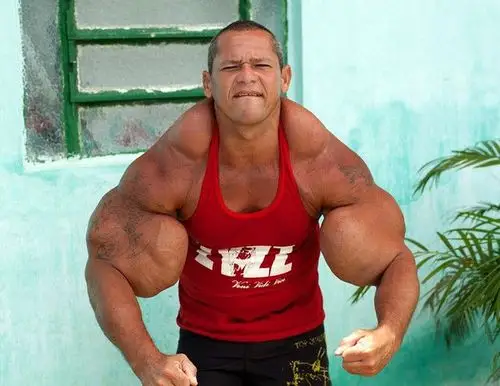 国外培育"混血怪牛",重达4吨"肌肉"爆裂