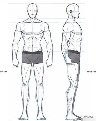 【绘画素材】大饱眼福!一大波男生的腹肌绘画参考!
