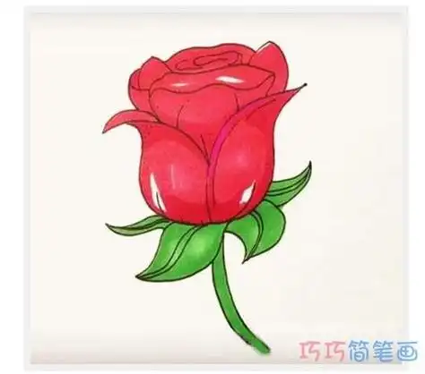 美艳红玫瑰怎么画好看涂颜色玫瑰花简笔画图片