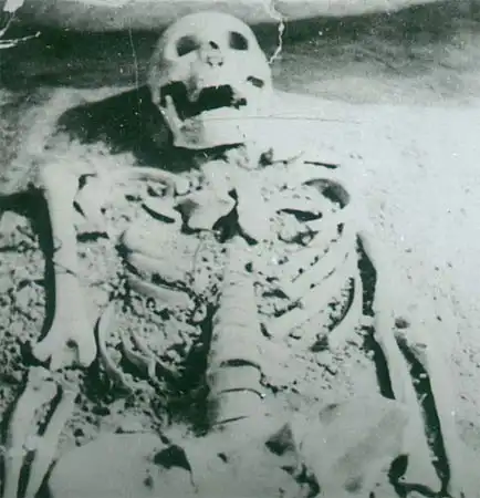 图文:用铁丝捆绑的尸骨